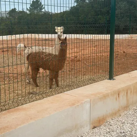 A Quinta Do Ti Carlitos By Hébergement de vacances